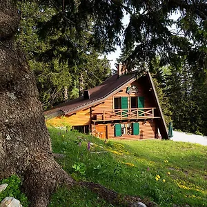 Chalet Alpinka, Cerklje na Gorenjskem
